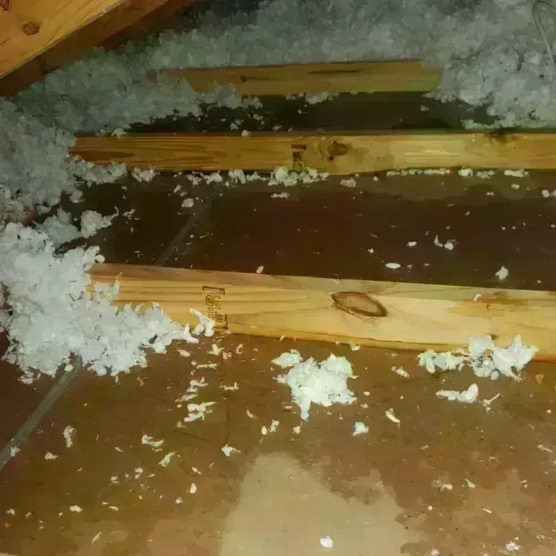 Attic Water Damage in Lindon, UT